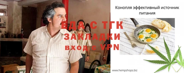 сатива Беломорск