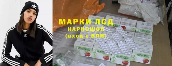 сатива Беломорск
