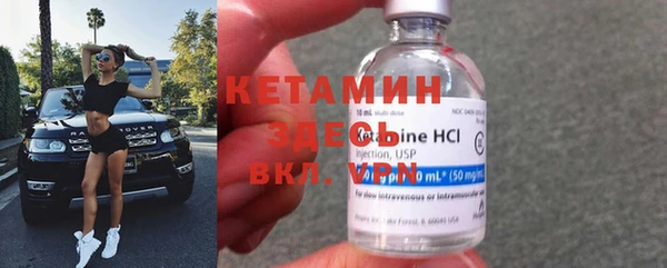 сатива Беломорск