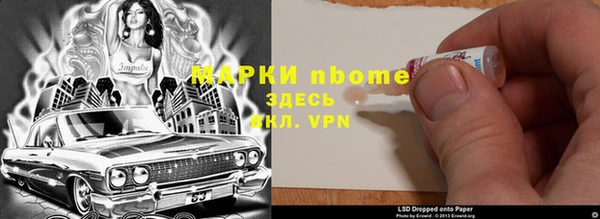 сатива Беломорск
