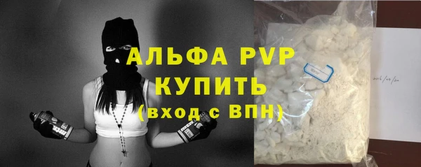 сатива Беломорск