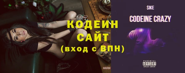 сатива Беломорск