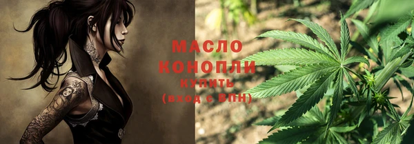 сатива Беломорск